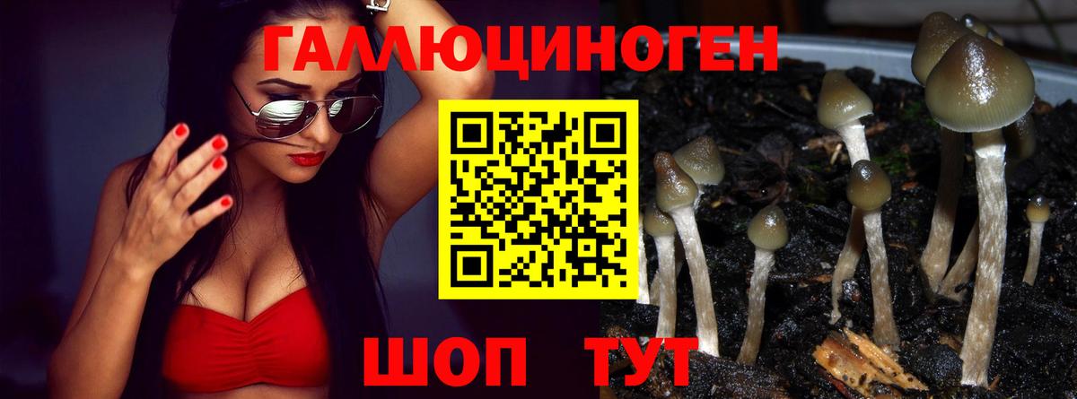 Галлюциногенные грибы Cubensis  Вход с VPN  Псилоцибиновые грибы Magic Shrooms  Людиново 